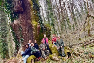 600-летний царь-дуб в Сочи прошел плановый осмотр