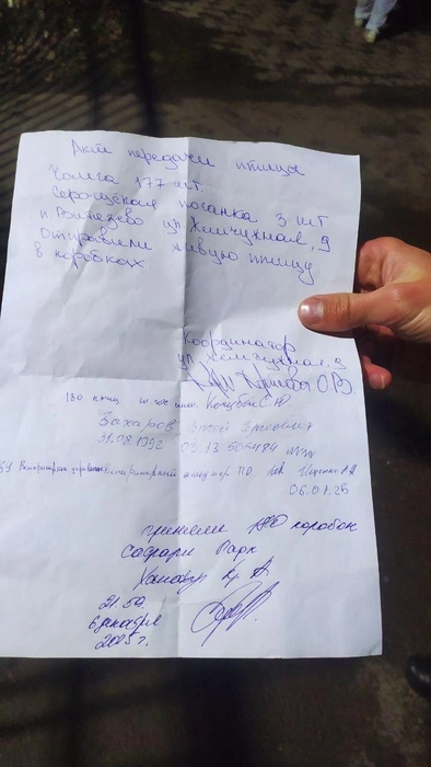 Та самая расписка | Источник: Юрий Озаровский Анапа Витязево Джемете / T.me