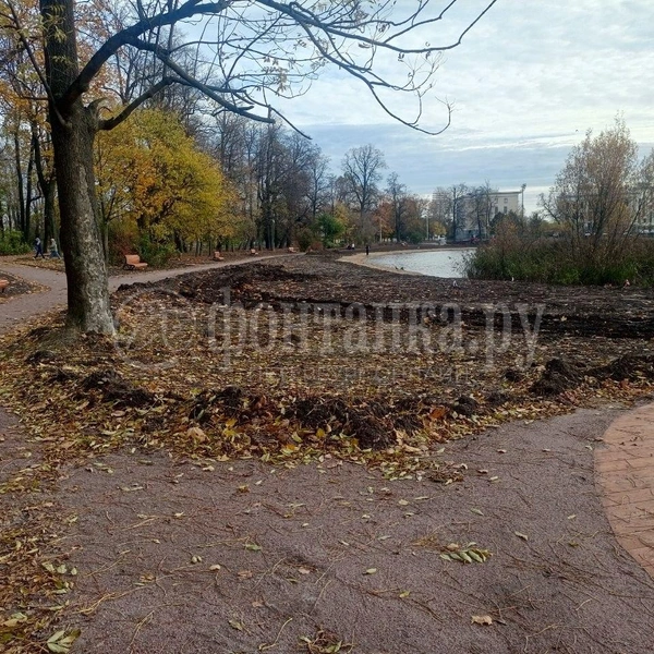 Источник: Ирина Корбат / FONTANKA.RU