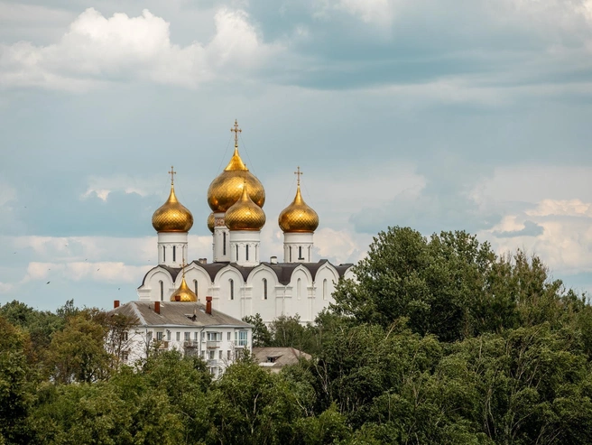 Успенский собор виден над кронами деревьев. | Источник: Александр Куренной / 76.RU 