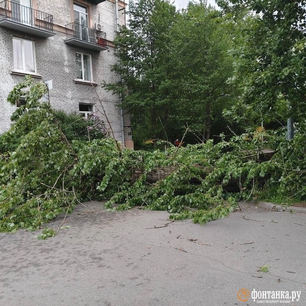 Источник: читатель «Фонтанки»