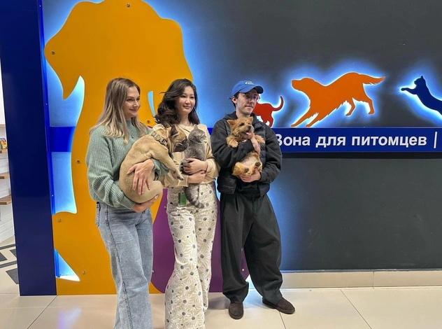 В аэропорту Алматы после случая с потерей кота открыли зону для питомцев