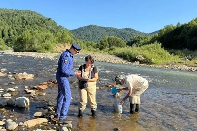 Суд взыскал 4,5 млн рублей с золотодобытчиков за ущерб природе