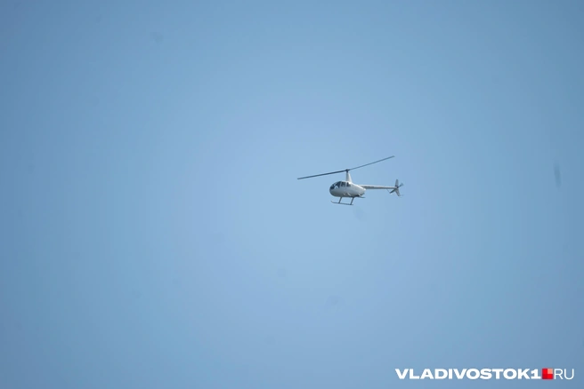 Поиски идут 16 дней | Источник: Елена Буйвол / VLADIVOSTOK1.RU