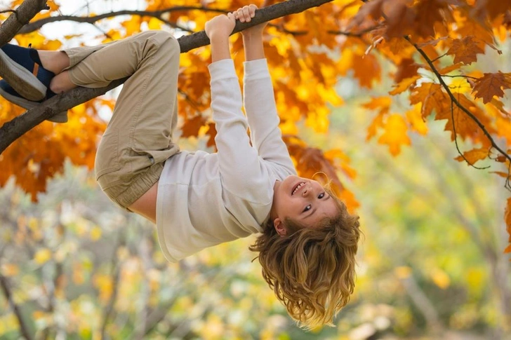 Источник: Shutterstock/Fotodom.ru