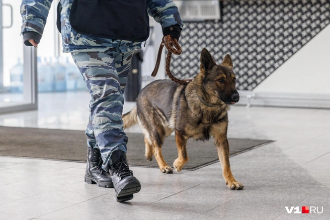 В компании ведутся обыски | Источник: Алексей Волхонский / V1.RU