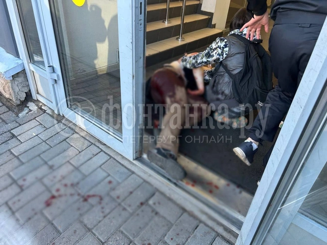 Последствия резни на парковке гипермаркета в Выборгском районе | Источник: читатель «Фонтанки»