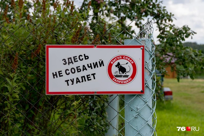 В деревне заботятся о чистоте | Источник: Кирилл Поверинов / 76.RU