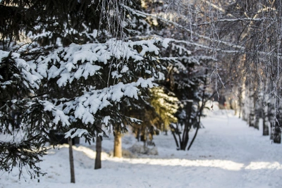 Модестов день: обычаи и защита от нечисти 31 декабря