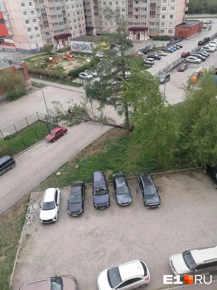 Источник: читатель E1.RU