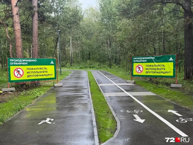 Пешеходные и велодорожки с разметками | Источник: Илья Чикотин / 72.RU