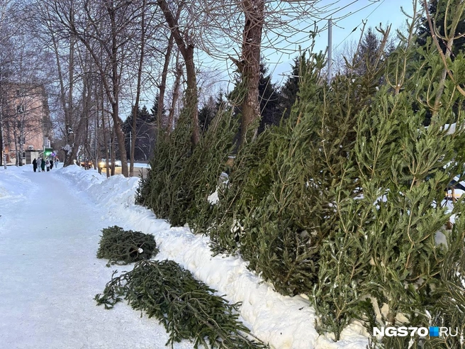 Источник: Мария Лобанова / NGS70.RU