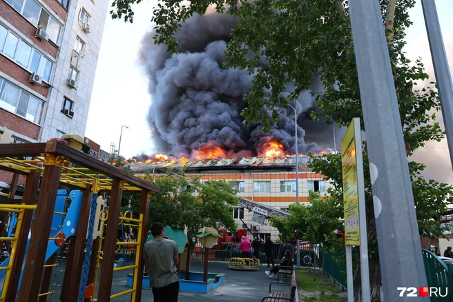 За происходящим наблюдали десятки очевидцев&nbsp;— как из многоэтажек, так и с улиц дворов и детских площадок | Источник: Ирина Шарова / 72.RU 