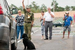 Источник: Алексей Абраменко