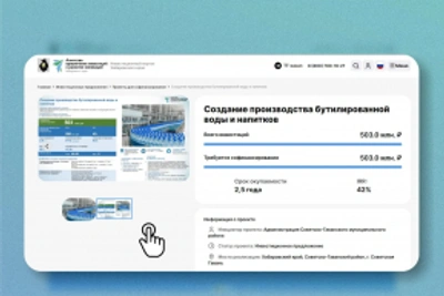 Инвестиционные проекты с господдержкой предлагают в Советско-Гаванском районе