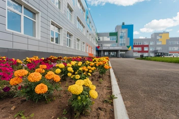 На ее территории высажены цветы  | Источник: Ксения Зимина