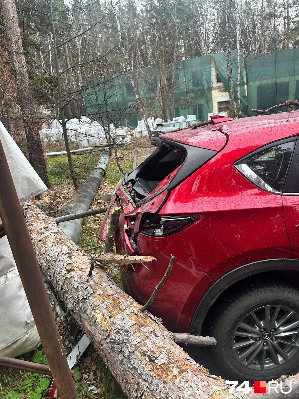 Сумму ущерба определит экспертиза, но на первый взгляд соседей&nbsp;— около миллиона рублей | Источник: читатель 74.RU