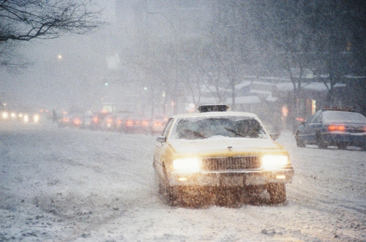 Нью-Йорк, США | Источник: Patti McConville/via Legion Media