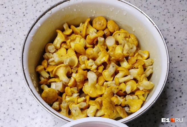 Лисички вкусны и в простых, и в сложных блюдах | Источник: Мария Александрова / Грибы и грибники Екатеринбурга и Свердловской области / vk.com