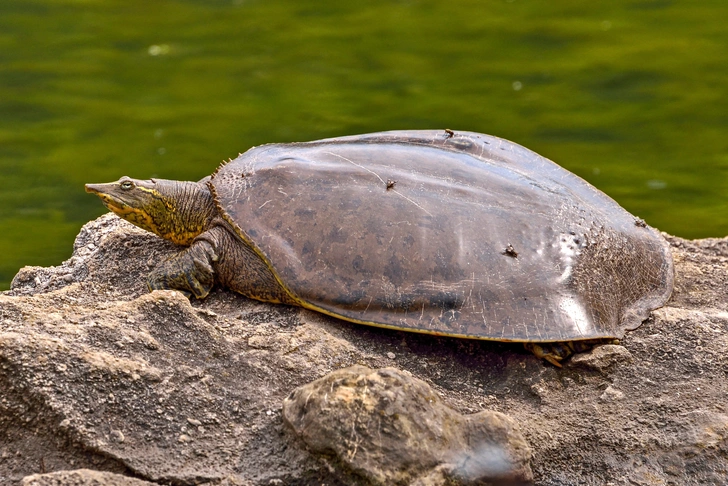 Источник: damann via Shutterstock/Fotodom.ru