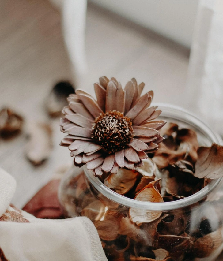 Источник: Unsplash