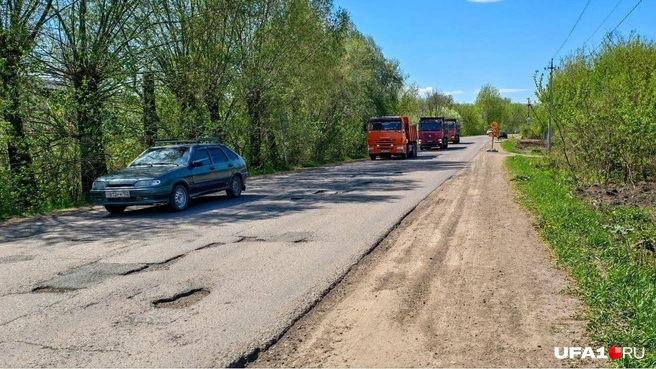 Ну-у-у, не страшно | Источник: Булат Салихов / UFA1.RU