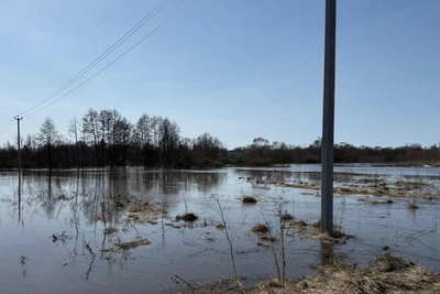 В Рязанской области открыли два затопленных моста