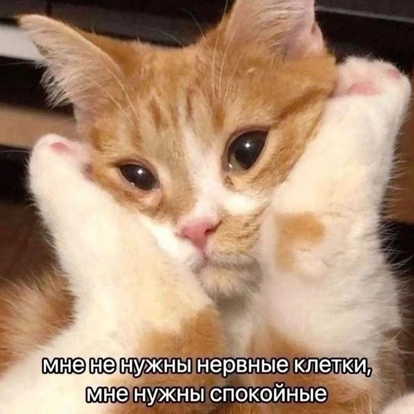 Источник: Соцсети