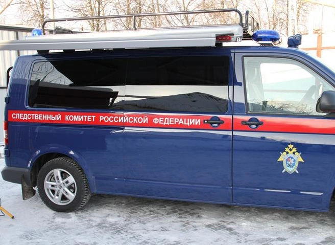 В новогодние праздники в Пронском районе убили 41-летнего мужчину | ya62.ru