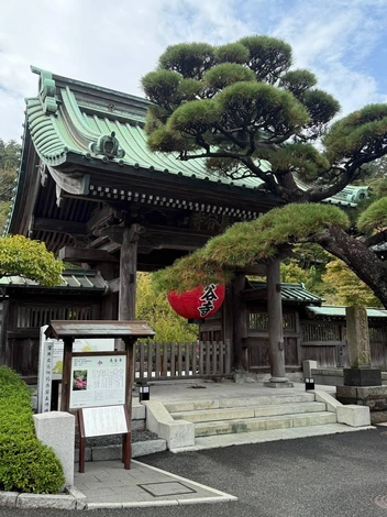 Типичный вид города Камакура | Источник: личный архив