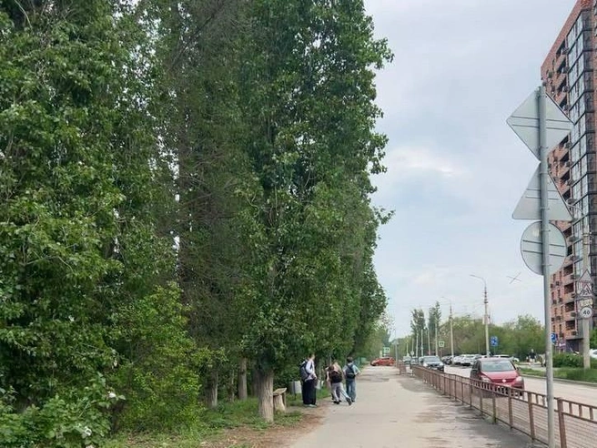 Услышав замечание от прохожей, подростки разбежались | Источник: читатели V1.RU