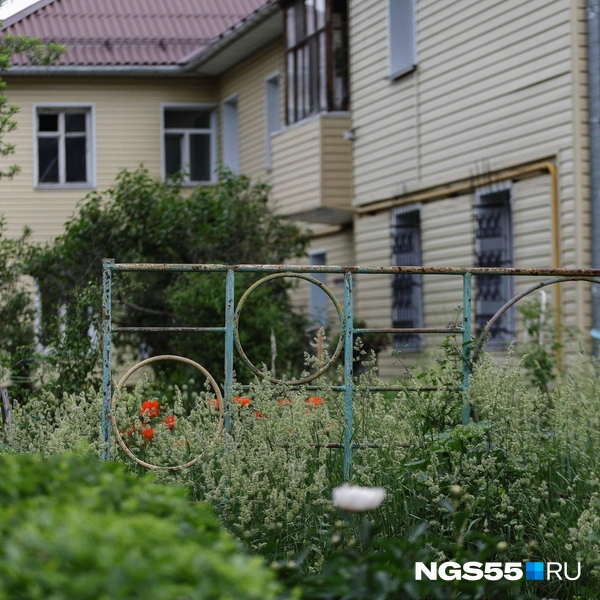 Заросшая конструкция детской площадки | Источник: Евгений Софийчук / NGS55.RU