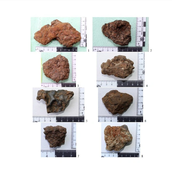 Предоставлено ЦСА ИИМК РАН