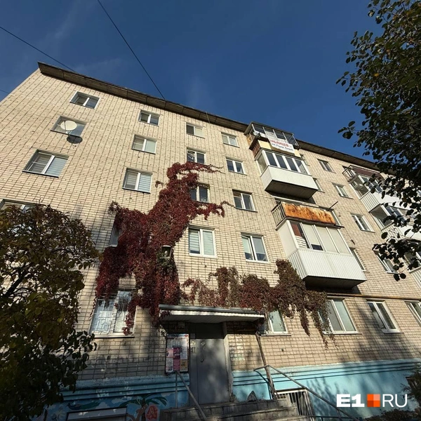 Здесь тоже расползся девичий виноград | Источник: Анастасия Баранова / E1.RU