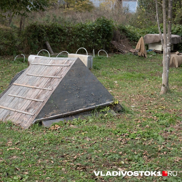 Источник: Елена Буйвол / VLADIVOSTOK1.RU