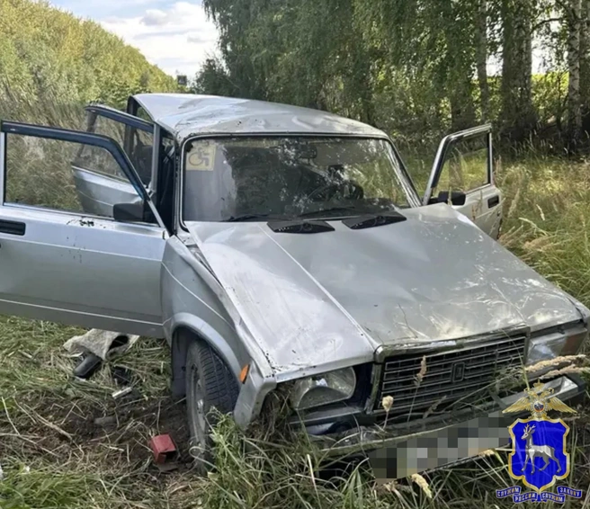 «Семерка» после ДТП каакое-то время ехала, а потом вылетела в кювет | Источник: ГУ МВД России по Самарской области / Vk.ru