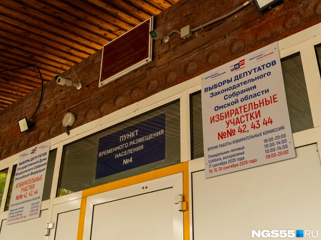 Депутатов выбирают на пять лет | Источник: Кирилл Башинский / NGS55.RU