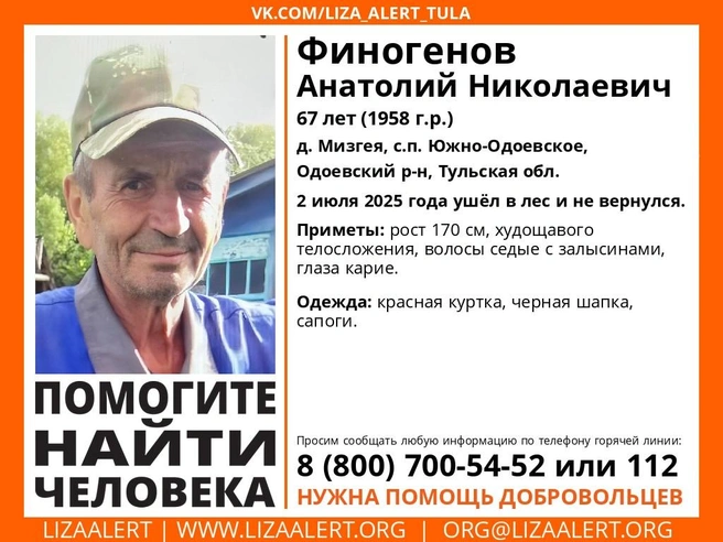 Ориентировка на пропавшего | Источник: Поисковый отряд «ЛизаАлерт» Тульской области / ВКонтакте
