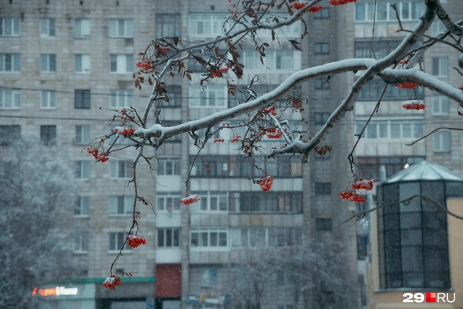 Источник: Иван Митюшёв / 29.RU 