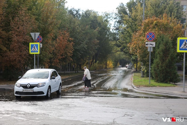 Дорогу приходится не переходить, а скорее переплывать | Источник: Константин Завриков / V1.RU