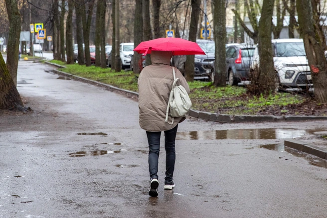 Почему с каждым годом все холоднее? | Источник: Кирилл Поверинов / 76.RU