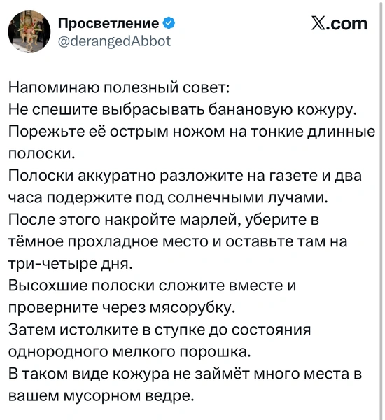 Источник: X (Twitter)