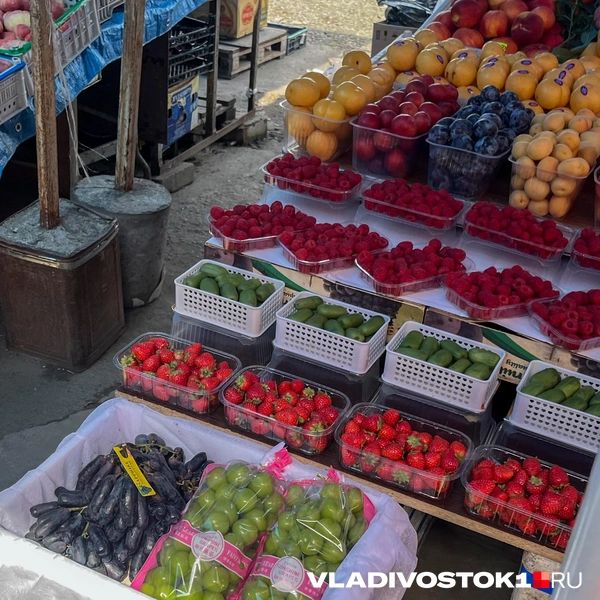 Источник: Елена Буйвол / VLADIVOSTOK1.RU