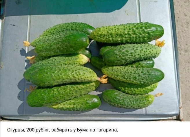 200 рублей за кг | Источник: Архангельский онлайн рынок. Куплю. Продам. / Vk.ru