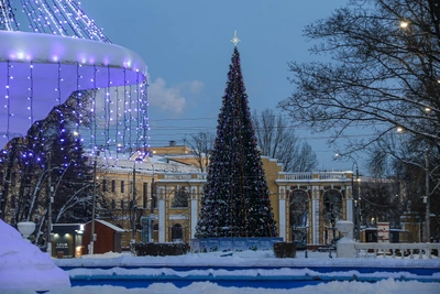 Новогодние традиции нижегородцев: от двери до новых покупок