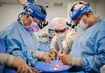 10 мутаций и 72 часа работы: врачи успешно пересадили людям два ГМО сердца свиней