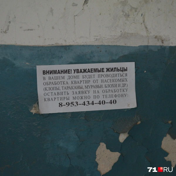 Жильцы говорят, что обработка от насекомых — это фикция, и никто её реально не проводил | Источник: Максим Улитов / 71.RU