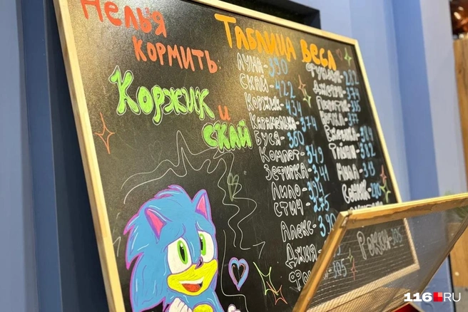 Цифры на этой доске постоянно обновляют, следя за весом питомцев | Источник: Регина Алтынбаева/ 116 RU