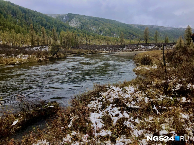 Дремучие места | Источник: Алексей Тайганавт / NGS24.RU