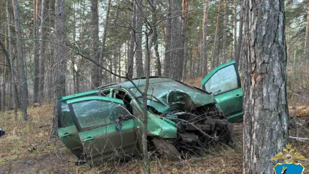 Пассажир погиб. В Комсомольском районе Тольятти иномарка влетела в дерево